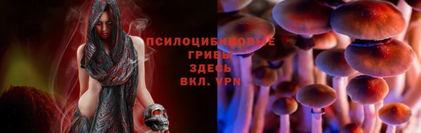 apvp Аркадак