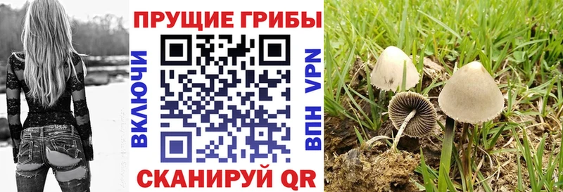 Галлюциногенные грибы MAGIC MUSHROOMS  наркота  Семилуки 